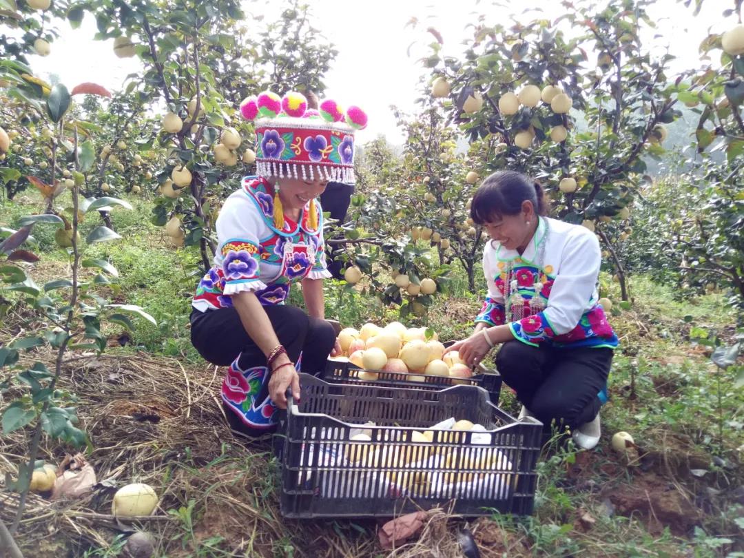 微信图片_20200829163820.jpg